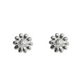 974-KLS-1-jeweline-kolczyki-wkrętki-stokrotki-srebro-925.JPG