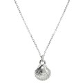 1186-KO-1-jeweline-srebro-925-naszyjnik-srebrny-srebrna-muszelka.JPG